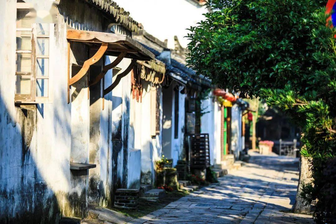 专科生为什么可以考教师资格证？游戏画面